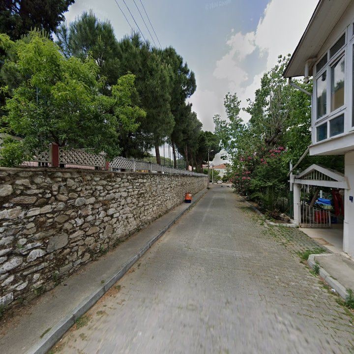 Fotoğraf 8