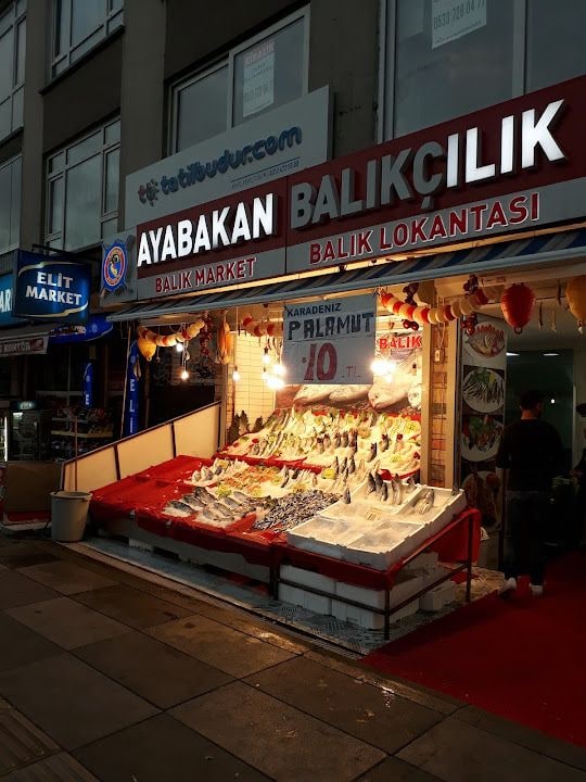 Ayabakan Balıkçılık