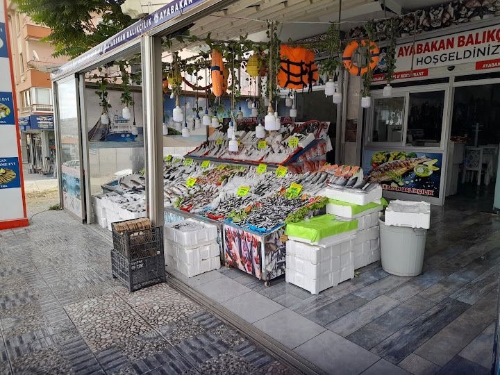 Fotoğraf 2