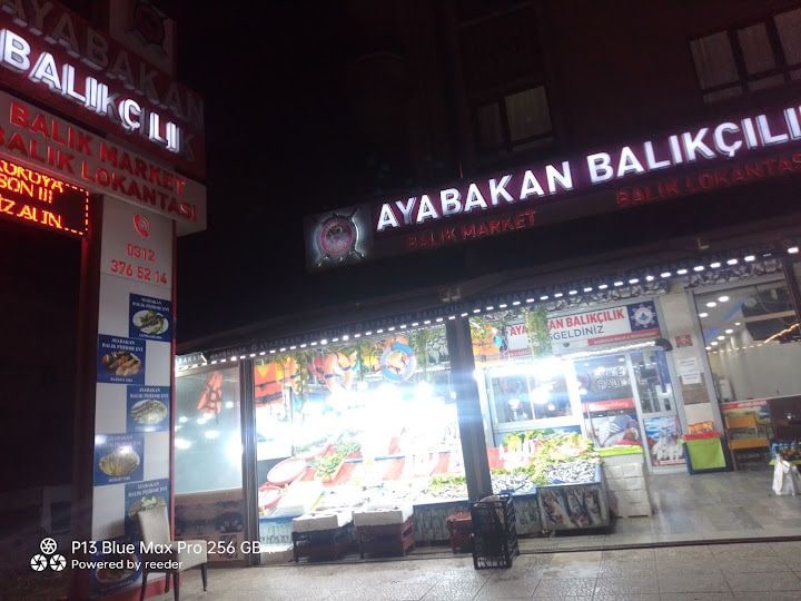 Ayabakan Balıkçılık