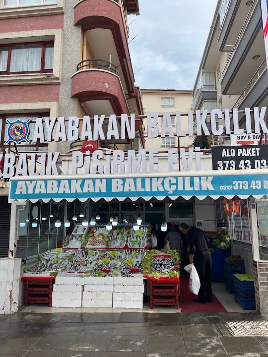 Ayabakan Balıkçısı