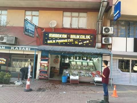 Ayabakan Balıkçısı