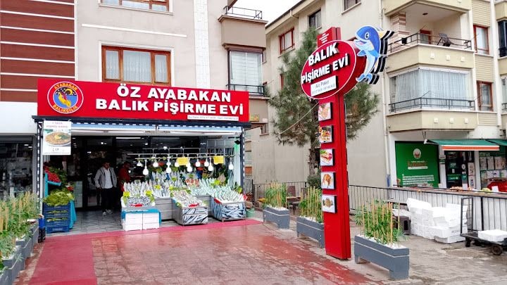 Ayabakan Balıkçısı