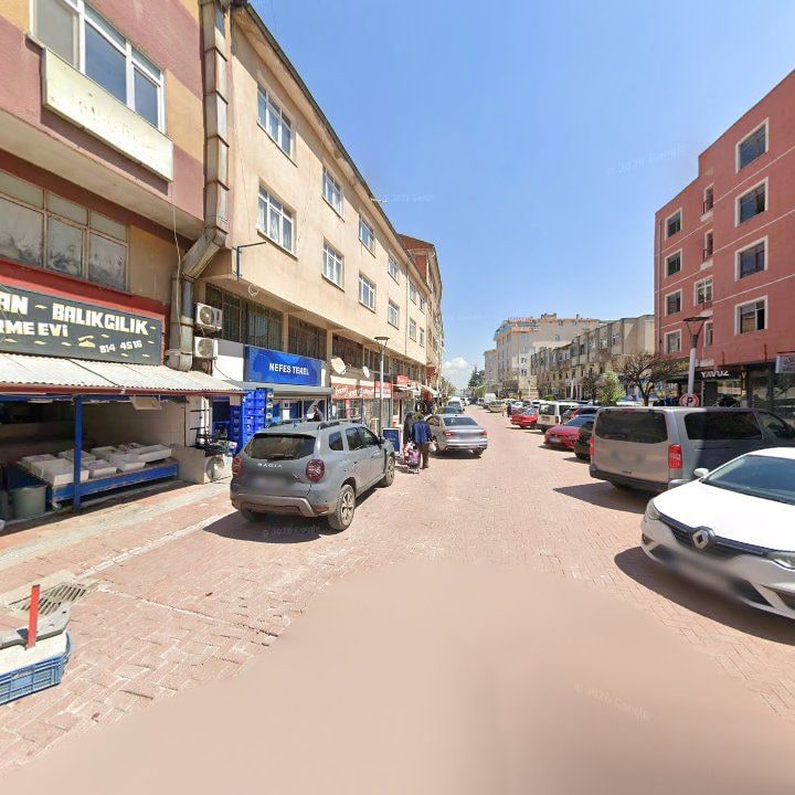 Fotoğraf 7