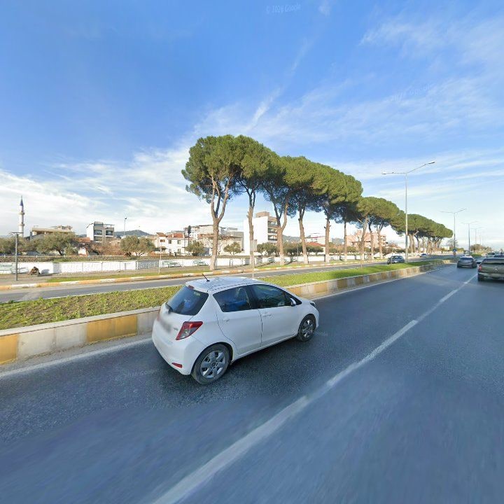 Fotoğraf 8