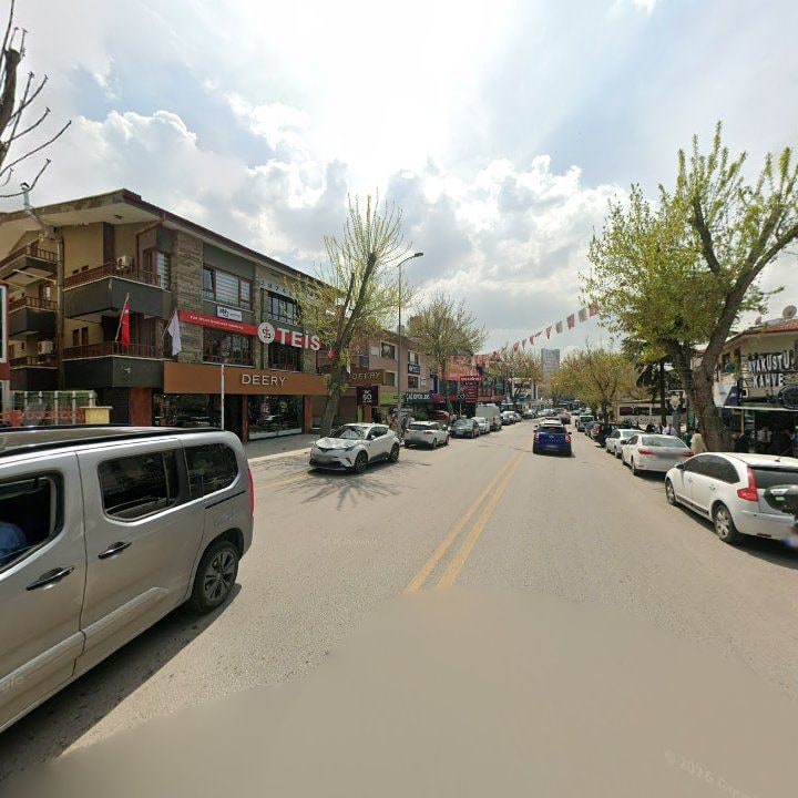 Fotoğraf 11