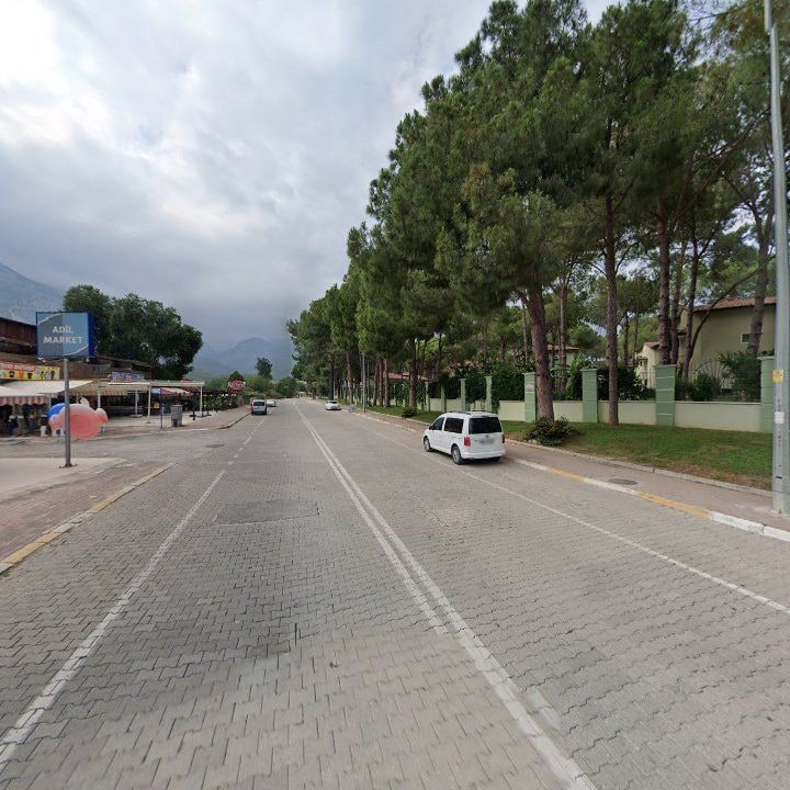 Fotoğraf 12