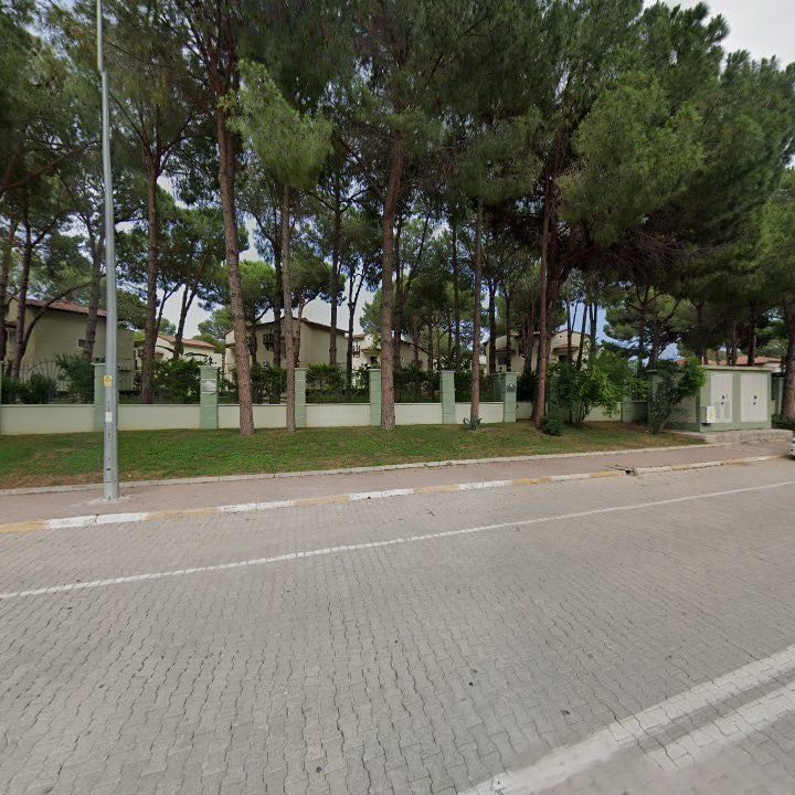 Fotoğraf 13