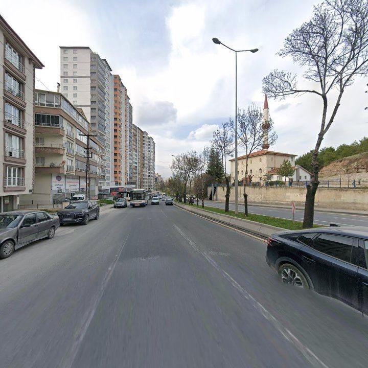 Fotoğraf 6