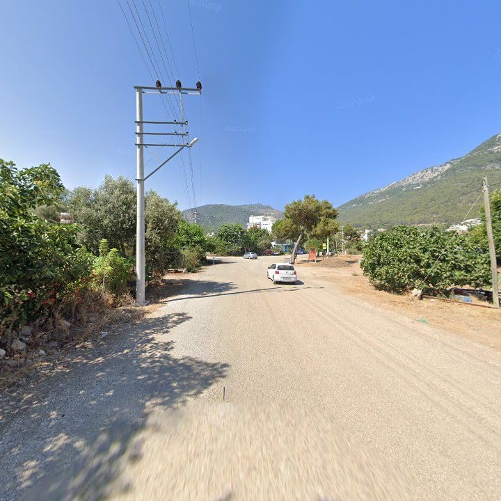 Fotoğraf 3
