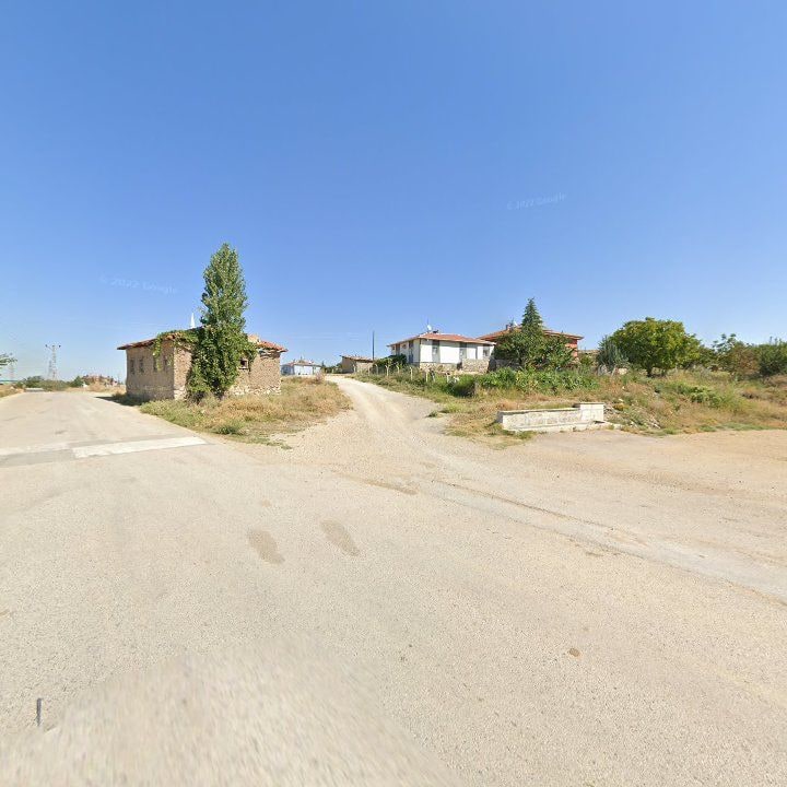 Fotoğraf 7