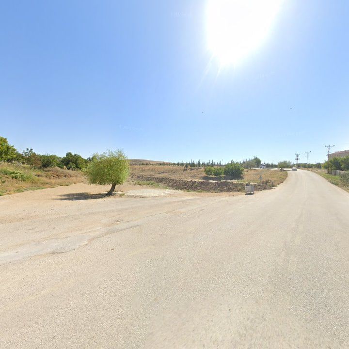 Fotoğraf 8