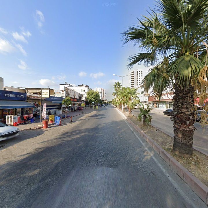 Fotoğraf 6
