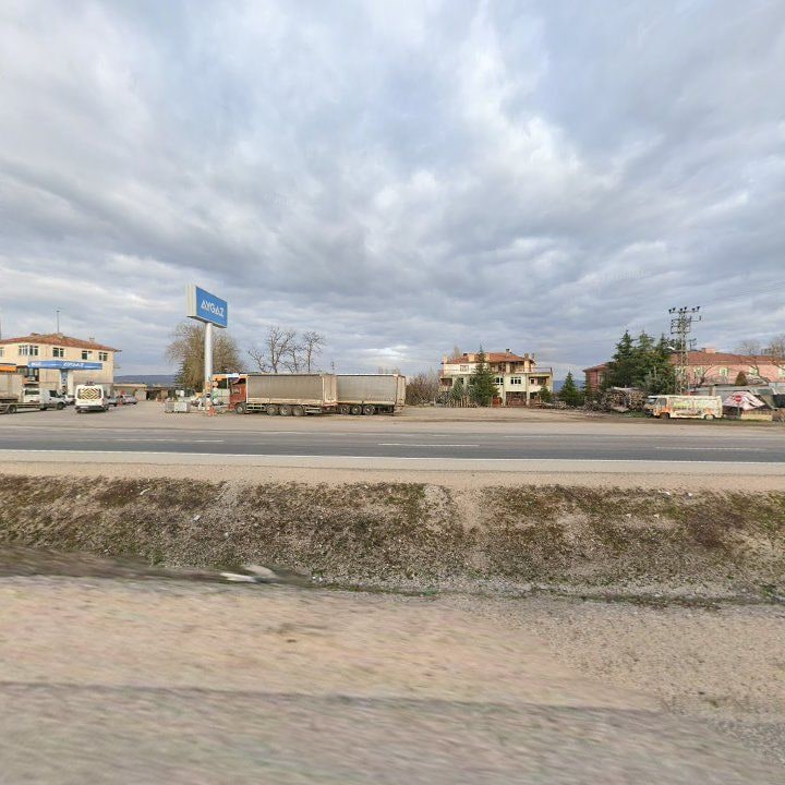 Fotoğraf 8