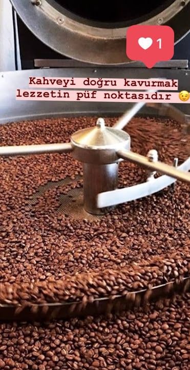 Aydibek Kuru Kahve