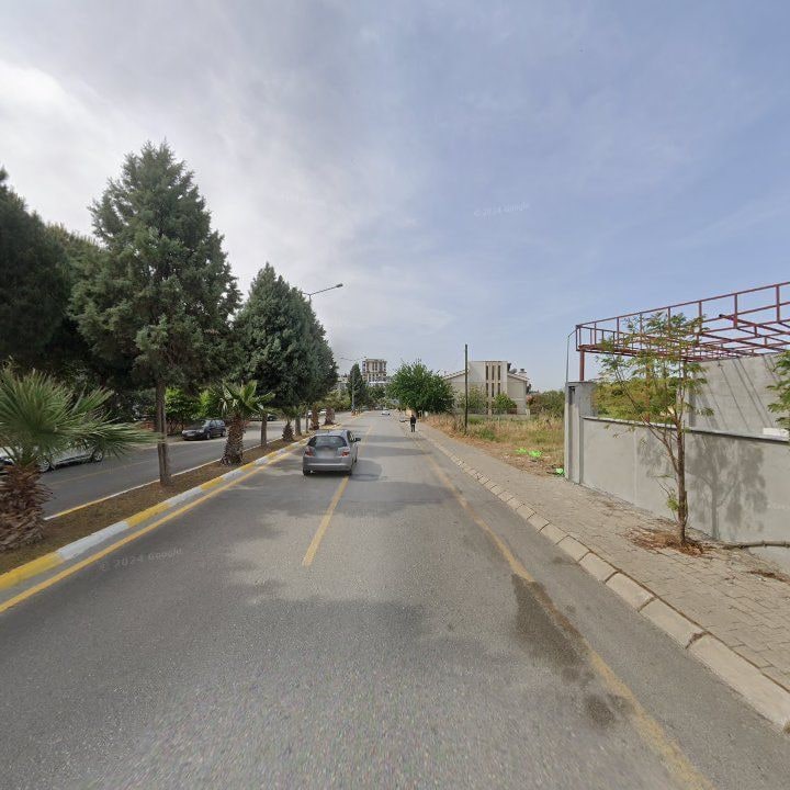 Fotoğraf 12