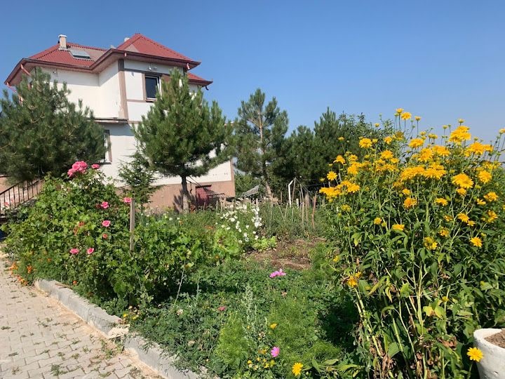 Aydın Dağevi