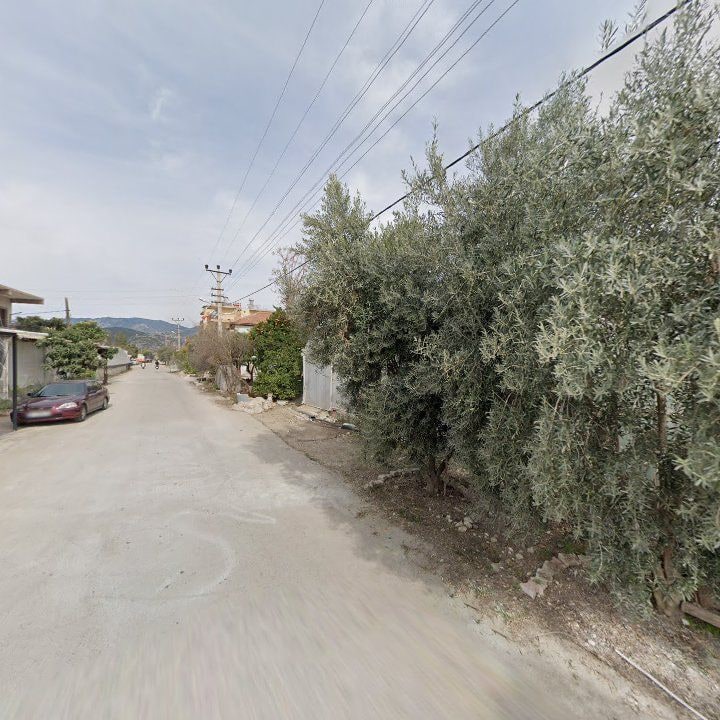 Fotoğraf 3