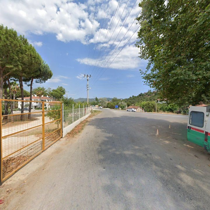 Fotoğraf 8