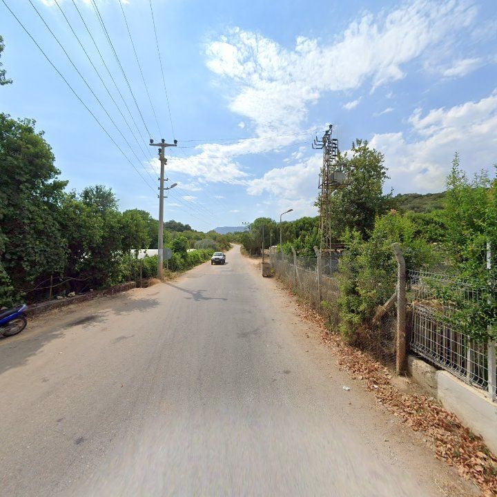 Fotoğraf 6