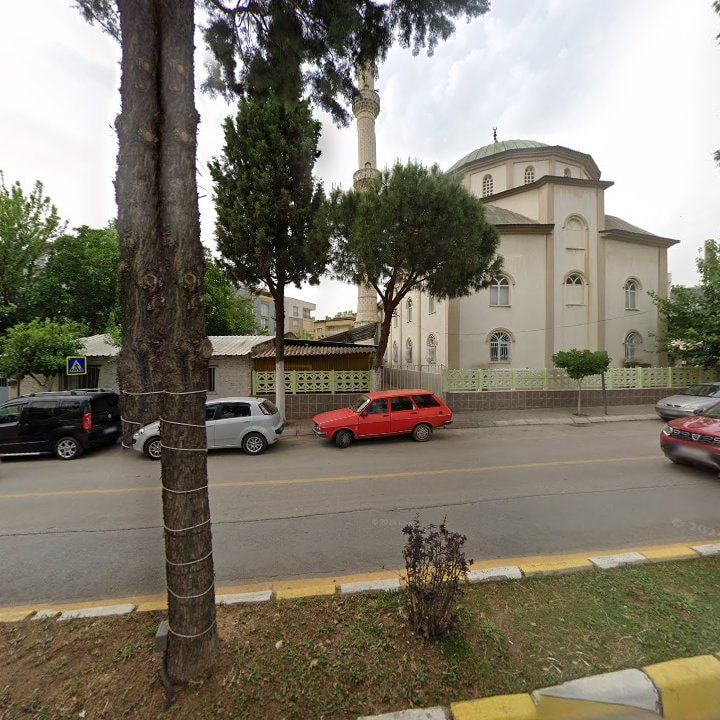Fotoğraf 7