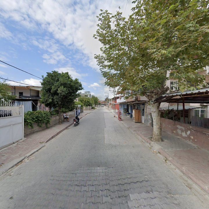 Fotoğraf 6