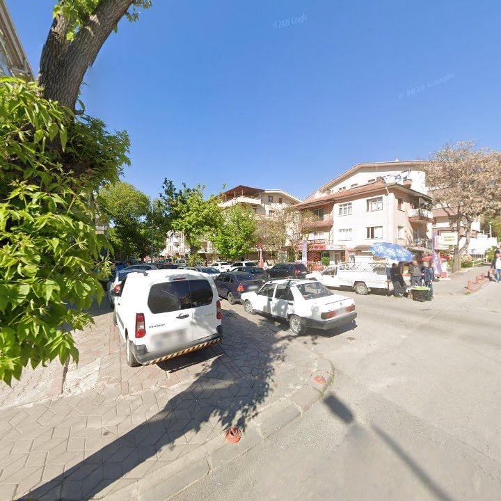 Fotoğraf 3