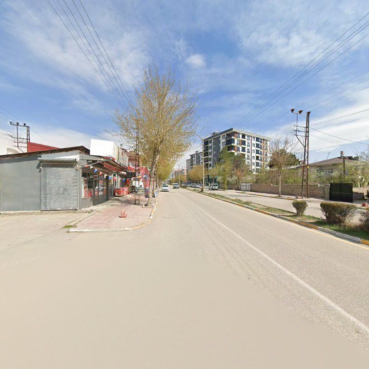 Fotoğraf 7