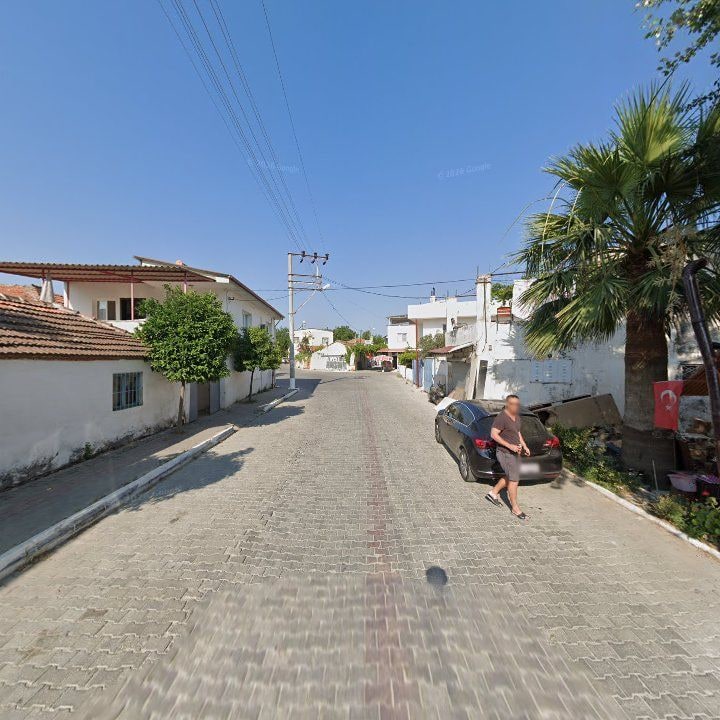 Fotoğraf 8