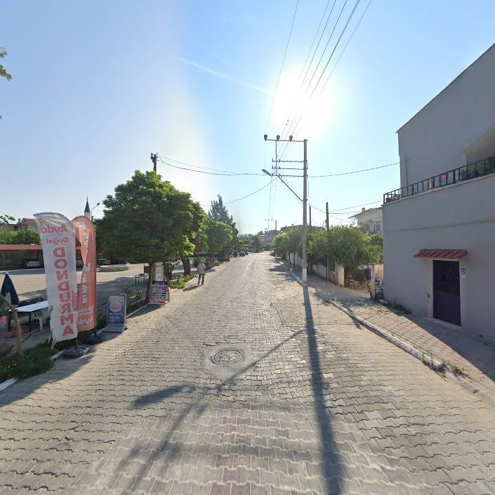 Fotoğraf 6