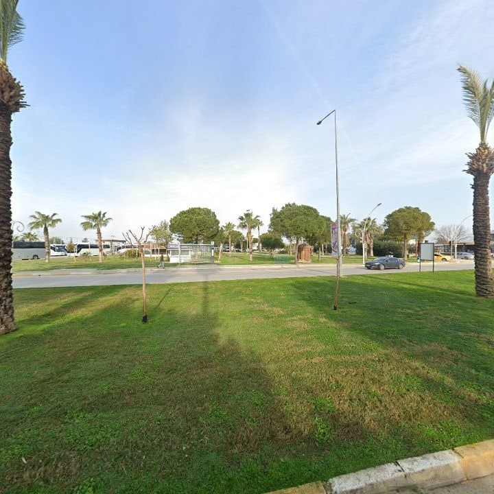 Fotoğraf 6