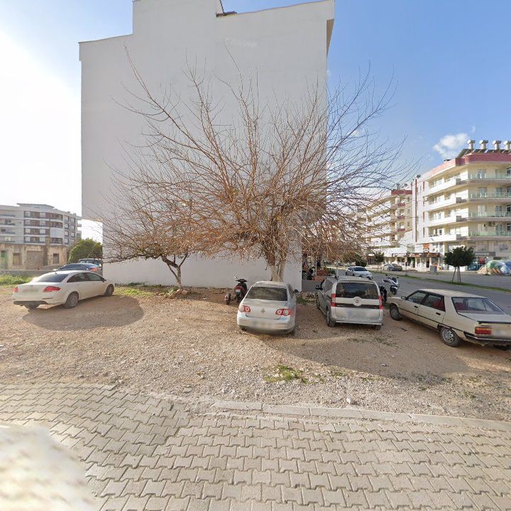 Fotoğraf 3
