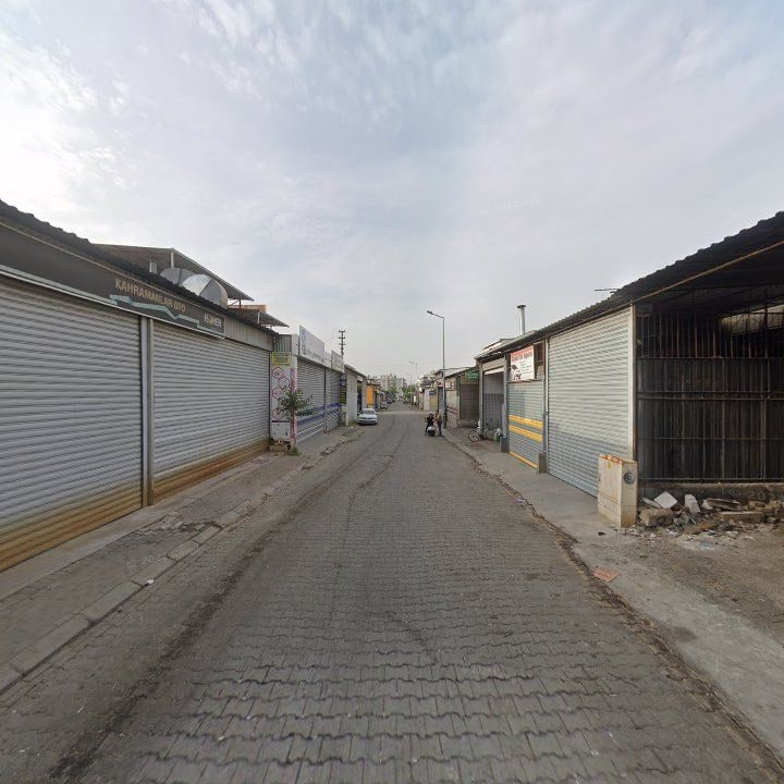 Fotoğraf 9