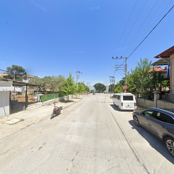 Fotoğraf 11