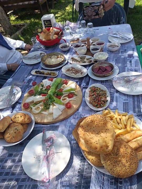 Fotoğraf 7