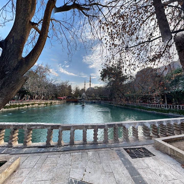 Fotoğraf 9