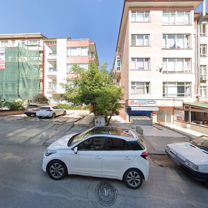 Fotoğraf 7