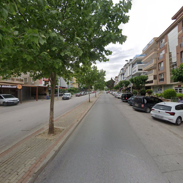 Fotoğraf 6