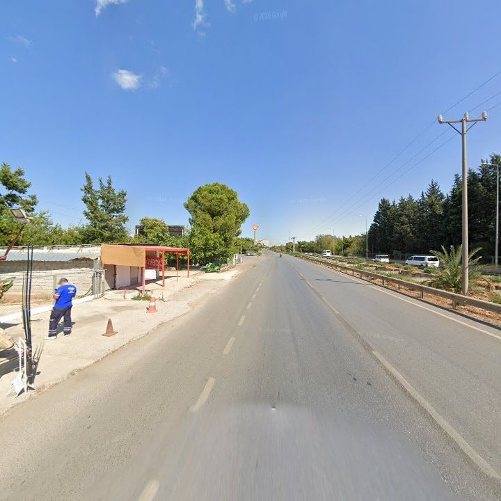 Fotoğraf 6