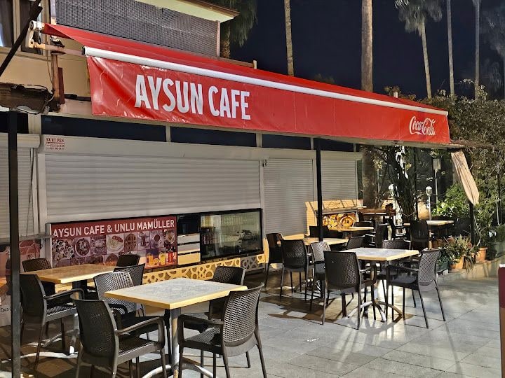 Aysun Pastanesi