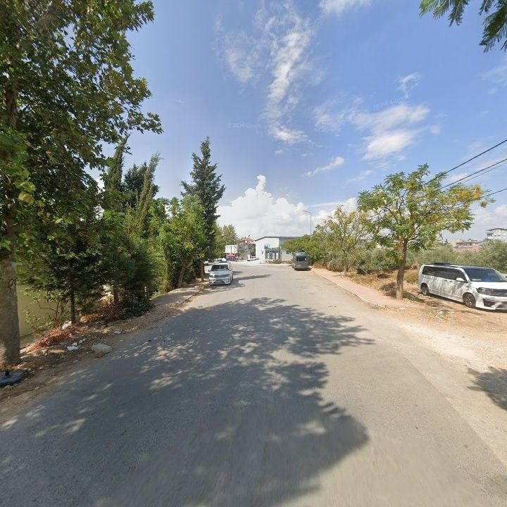 Fotoğraf 8