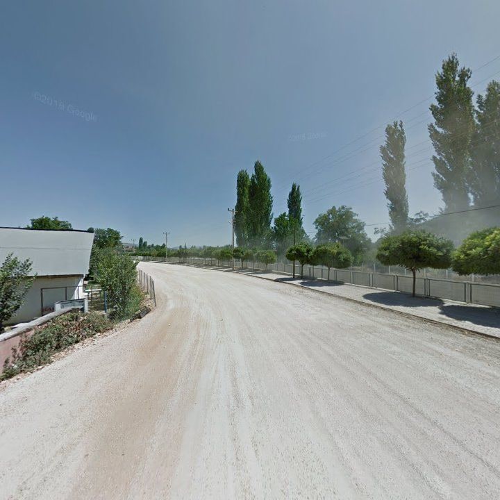 Fotoğraf 13