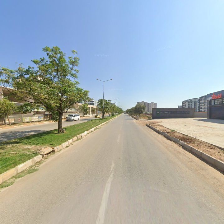 Fotoğraf 11