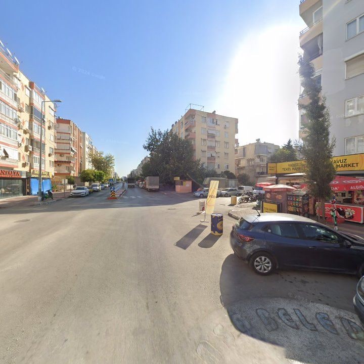 Fotoğraf 11