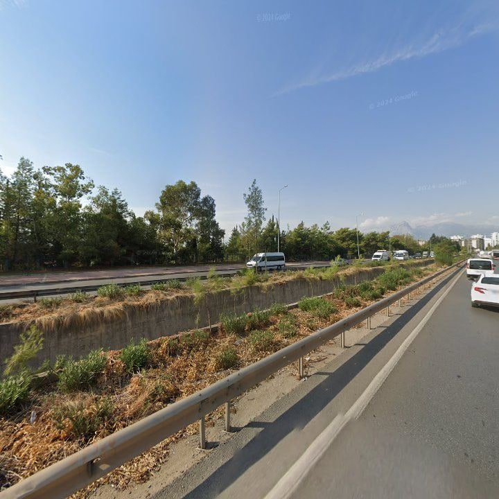 Fotoğraf 12