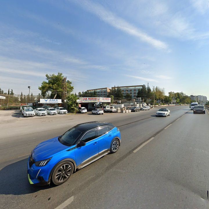 Fotoğraf 10