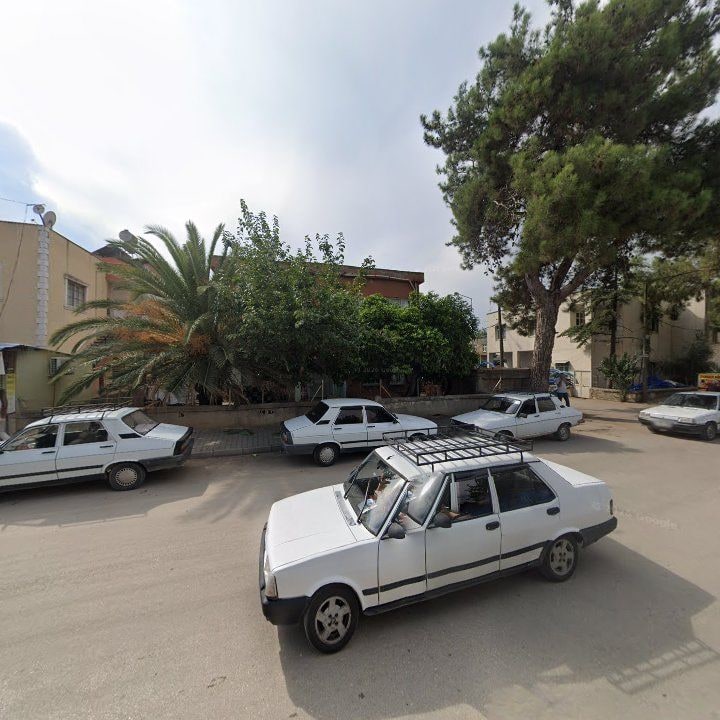 Fotoğraf 6