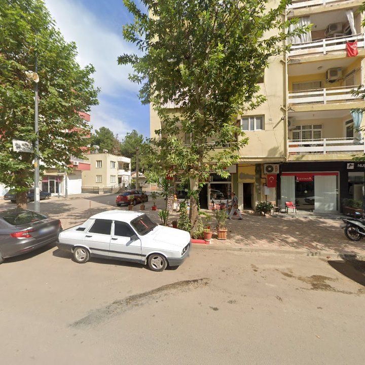 Fotoğraf 8