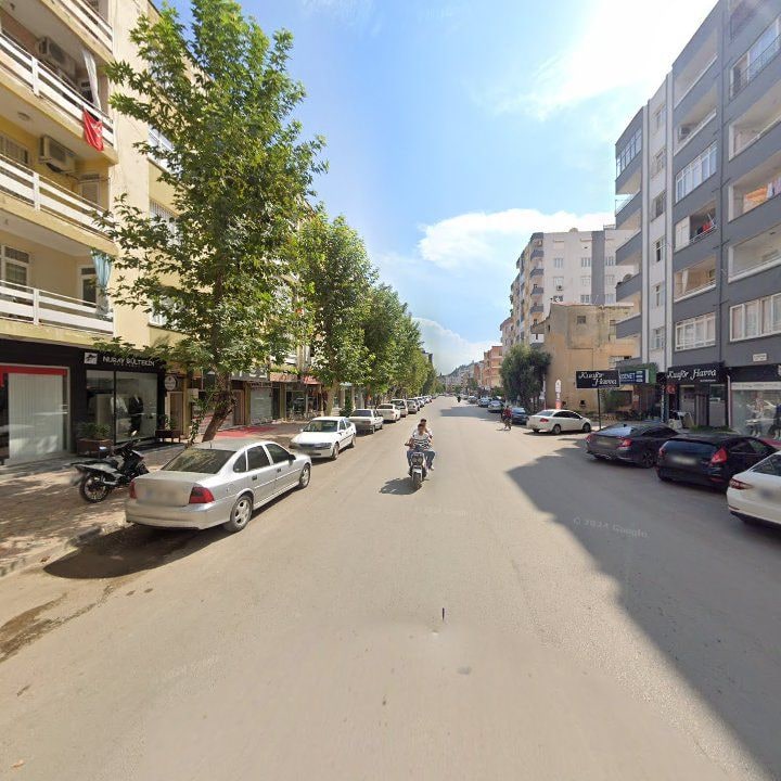 Fotoğraf 9