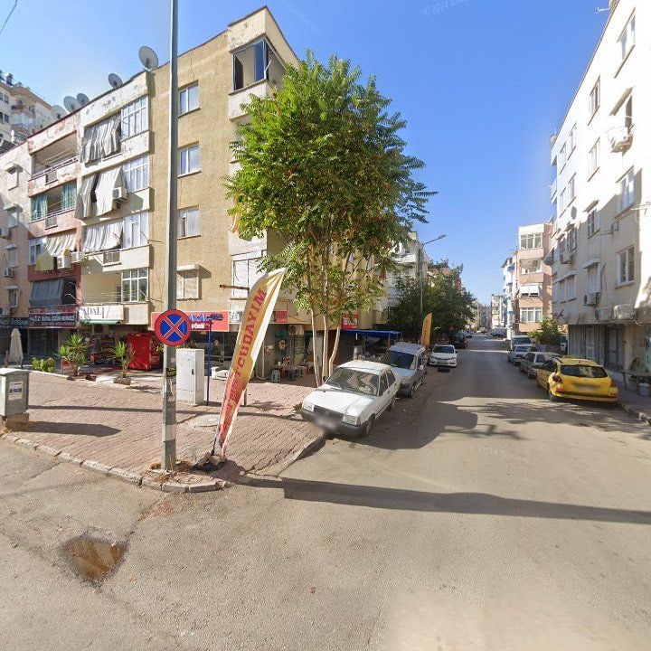Fotoğraf 8